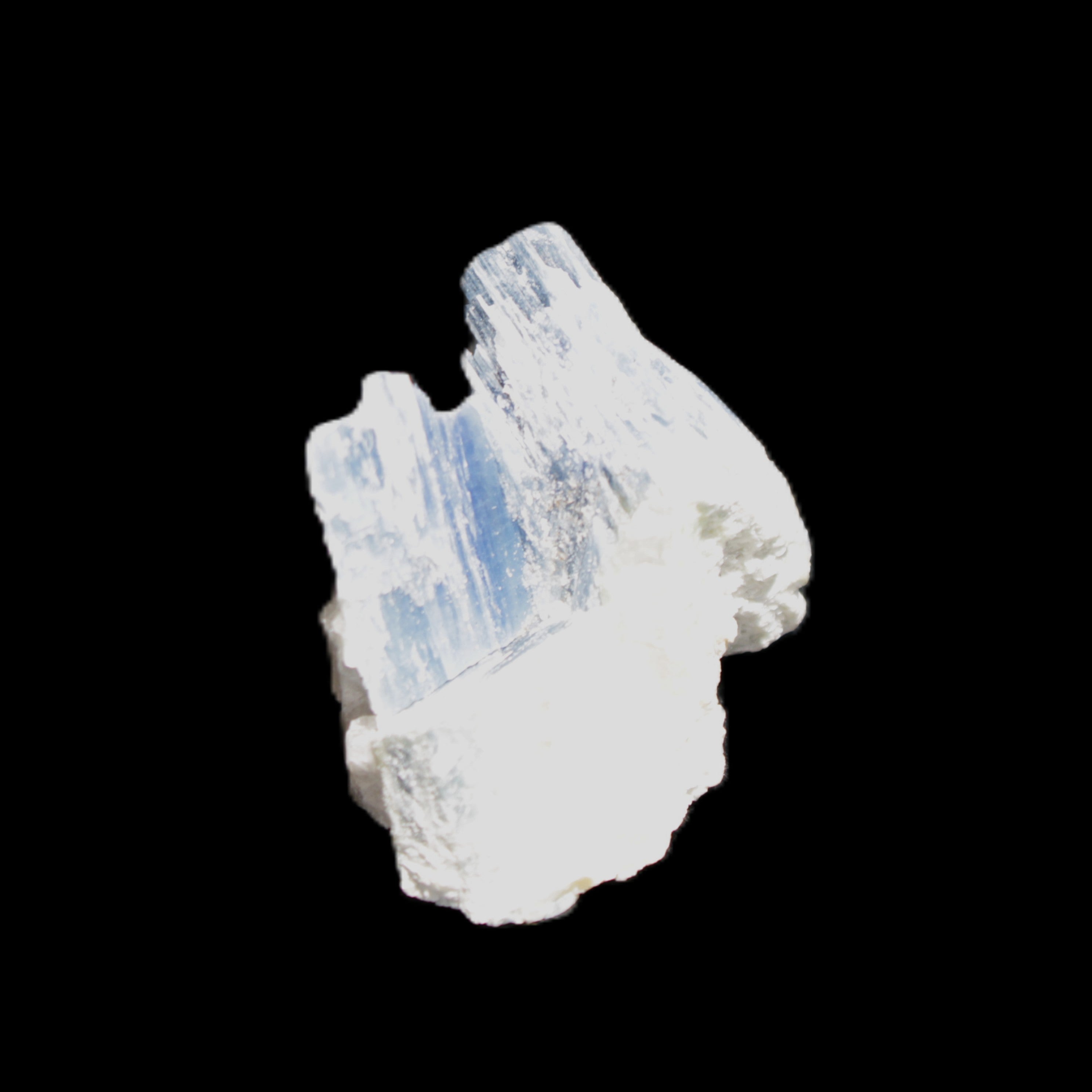 Kyanite blade cluster on Quartz 49*22*30mm 40g in sunlight - Rocks and Things Store