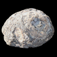 Agate geode 72*63*23mm 169g in sunlight - Rocks and Things Store