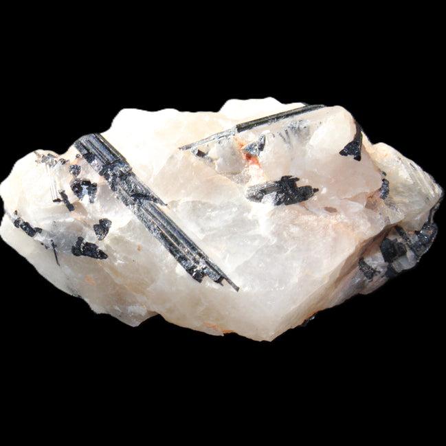 Black Tourmaline cluster in Quartz 65*41*37mm 107g in sunlight - Rocks and Things Store