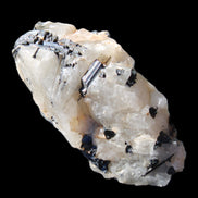 Black Tourmaline cluster in Quartz 65*41*37mm 107g in sunlight - Rocks and Things Store