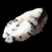 Black Tourmaline cluster in Quartz 65*41*37mm 107g in sunlight - Rocks and Things Store