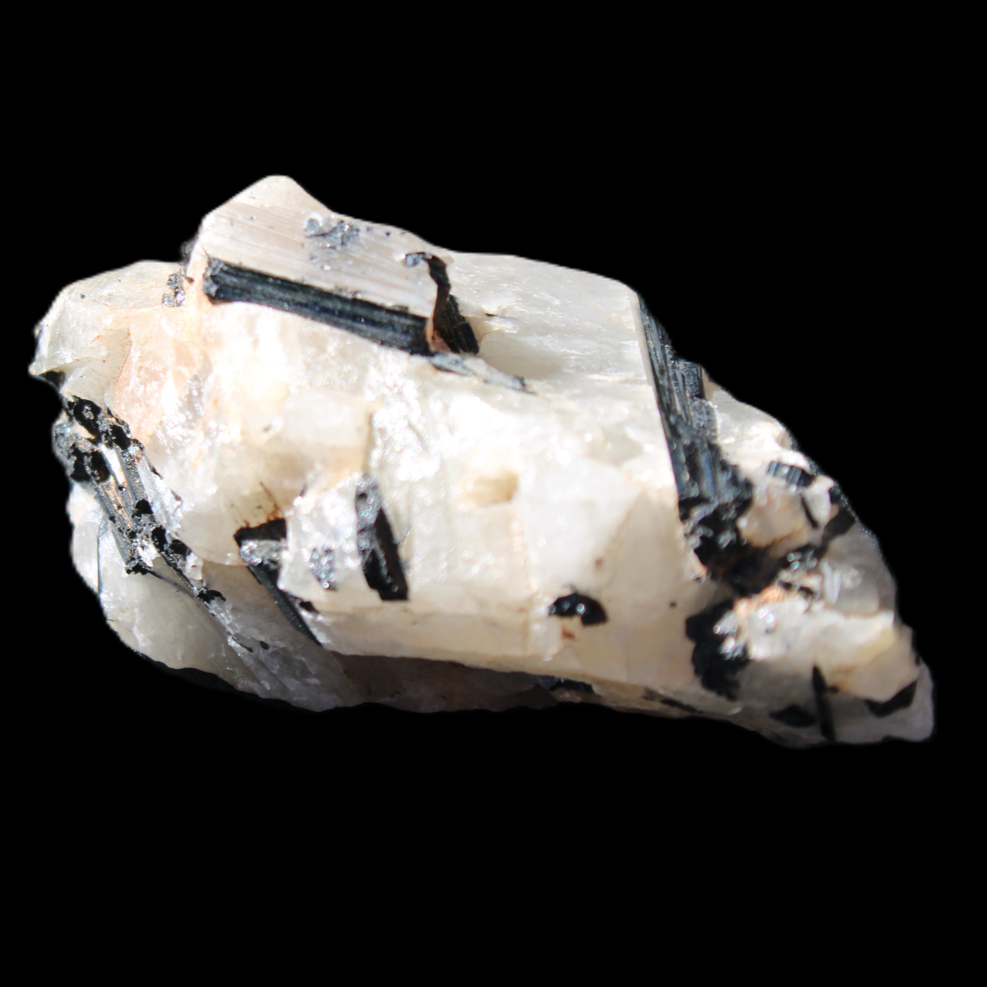 Black Tourmaline cluster in Quartz 65*41*37mm 107g in sunlight - Rocks and Things Store