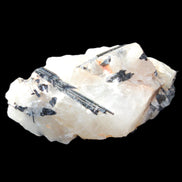 Black Tourmaline cluster in Quartz 65*41*37mm 107g in sunlight - Rocks and Things Store