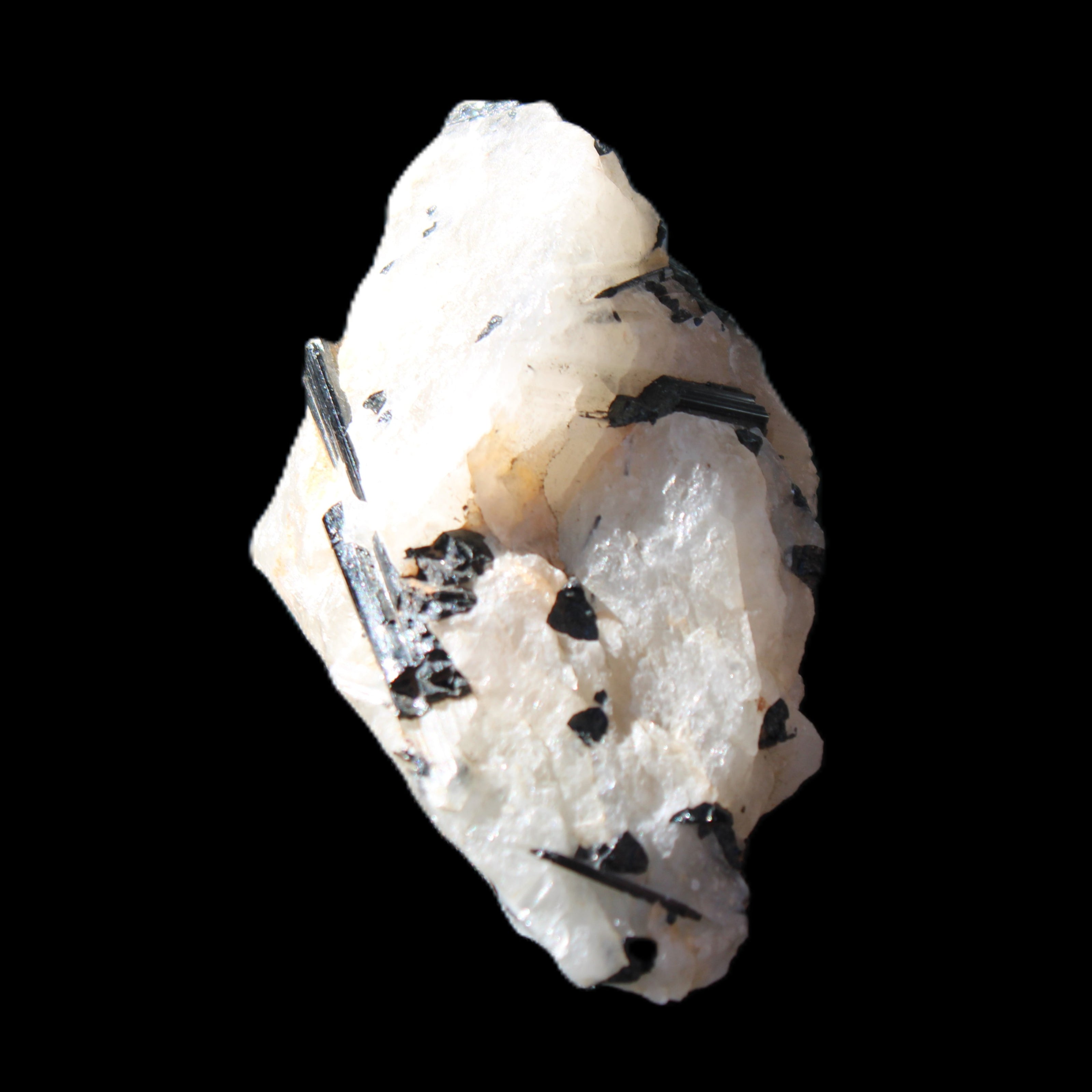 Black Tourmaline cluster in Quartz 65*41*37mm 107g in sunlight - Rocks and Things Store