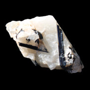 Black Tourmaline cluster in Quartz 65*41*37mm 107g in sunlight - Rocks and Things Store