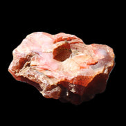 Carnelian Agate geode 57*37*25mm 64g in sunlight - Rocks and Things Store