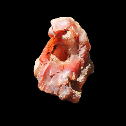 Carnelian Agate geode 57*37*25mm 64g in sunlight - Rocks and Things Store