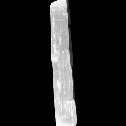 Selenite from Morocco 227*50*13mm 261g in sunlight - Rocks and Things Store