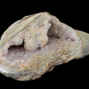 Pink and Violet Amethyst slipper geode 260*190*115mm 3500g in sunlight - Rocks and Things Store