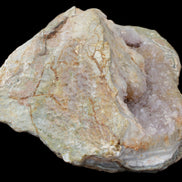 Pink and Violet Amethyst slipper geode 260*190*115mm 3500g in sunlight - Rocks and Things Store