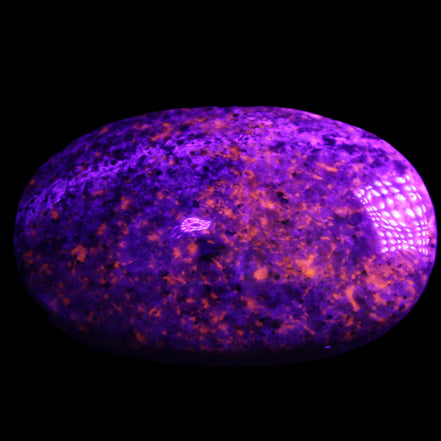 Yooperlite stone 18*39*60mm 71/75g in UV light - Rocks and Things Store