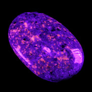 Yooperlite stone 18*39*60mm 71/75g in UV light - Rocks and Things Store