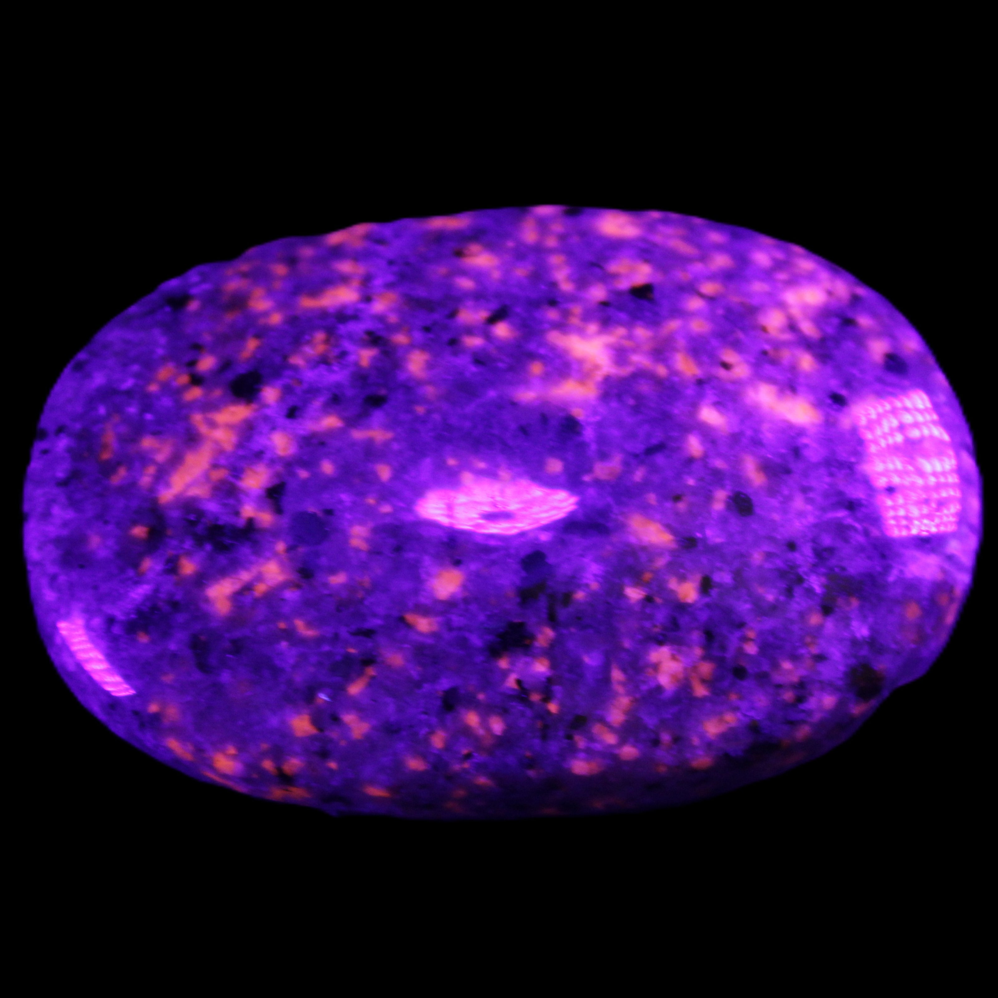 Yooperlite stone 18*39*60mm 71/75g in UV light - Rocks and Things Store