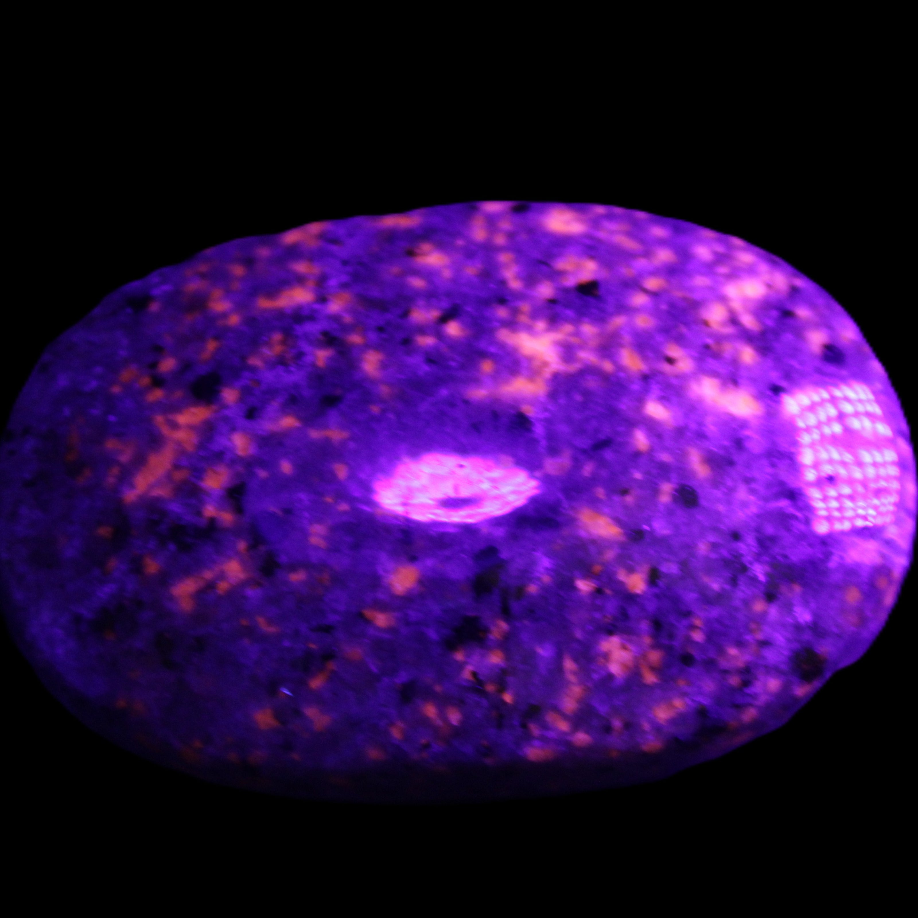 Yooperlite stone 18*39*60mm 71/75g in UV light - Rocks and Things Store