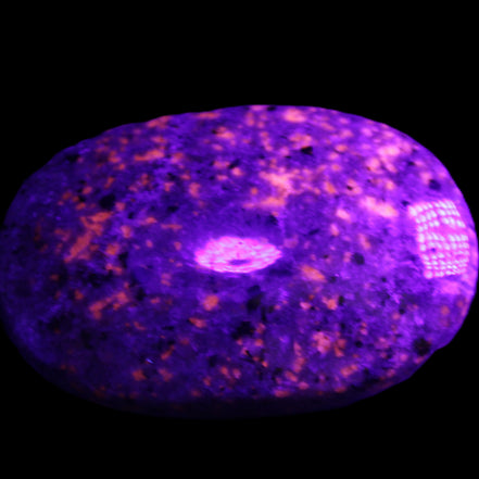 Yooperlite stone 18*39*60mm 71/75g in UV light - Rocks and Things Store