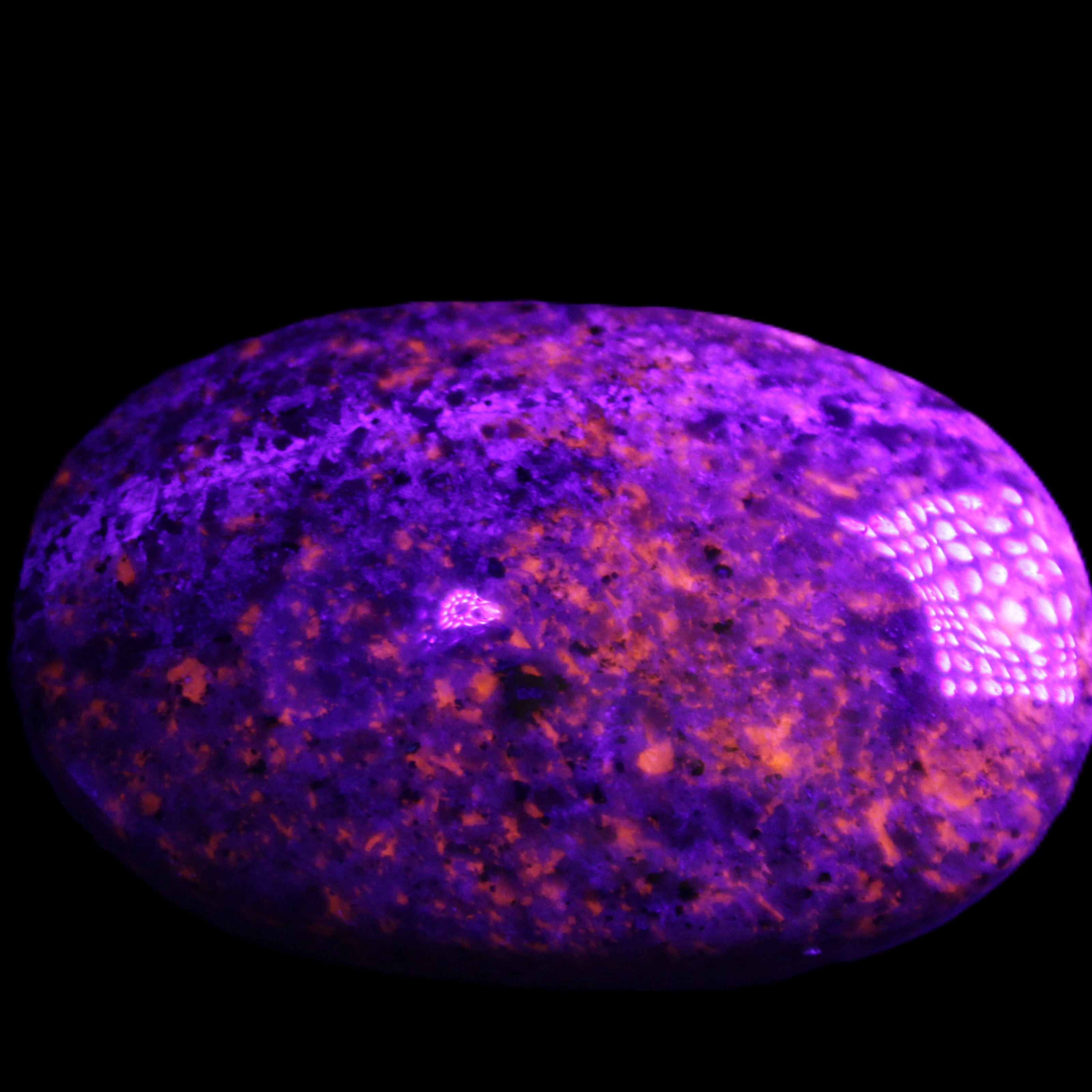 Yooperlite stone 18*39*60mm 71/75g in UV light - Rocks and Things Store