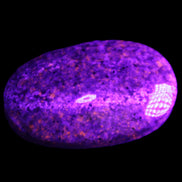 Yooperlite stone 18*39*60mm 71/75g in UV light - Rocks and Things Store