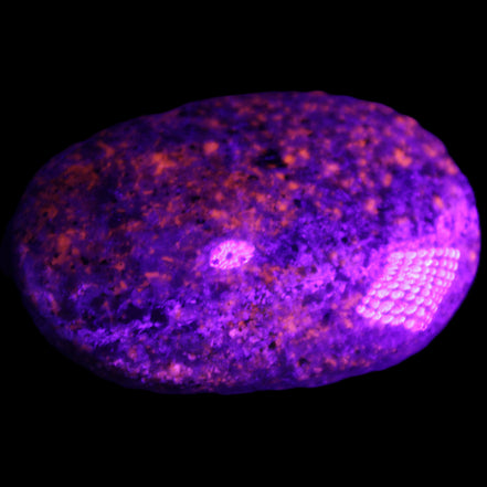Yooperlite stone 18*39*60mm 71/75g in UV light - Rocks and Things Store