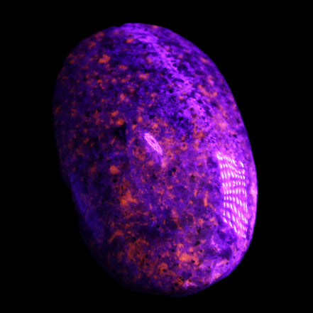Yooperlite stone 18*39*60mm 71/75g in UV light - Rocks and Things Store