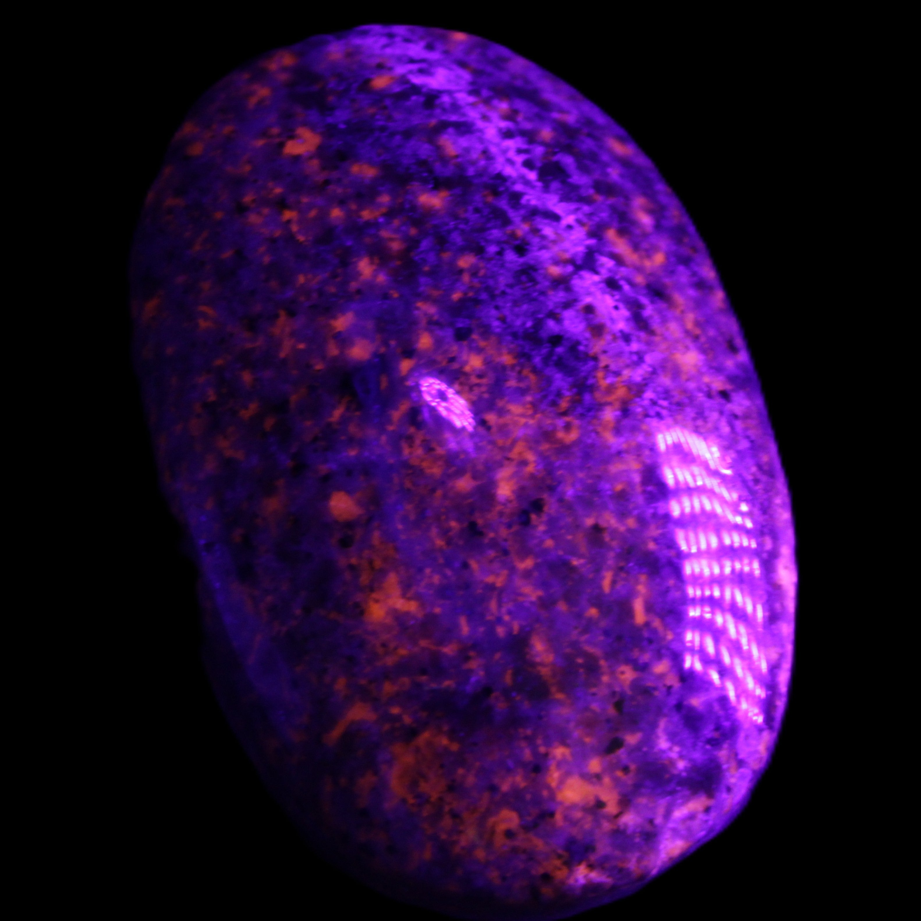 Yooperlite stone 18*39*60mm 71/75g in UV light - Rocks and Things Store