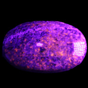Yooperlite stone 18*39*60mm 71/75g in UV light - Rocks and Things Store