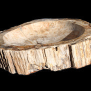 Huge Petrified Wood basin 308*231*60mm 5380g in sunlight - Rocks and Things Store