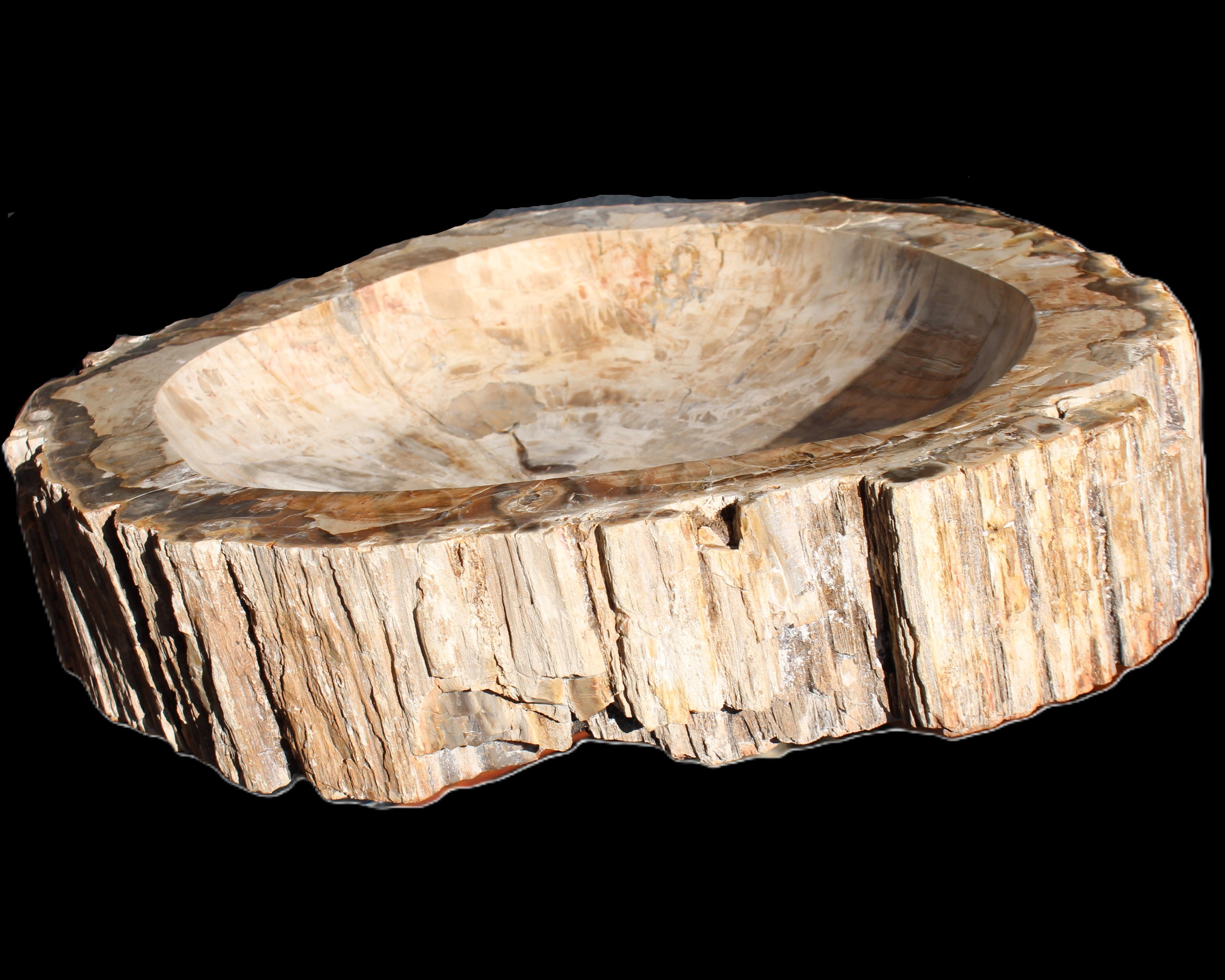 Huge Petrified Wood basin 308*231*60mm 5380g in sunlight - Rocks and Things Store