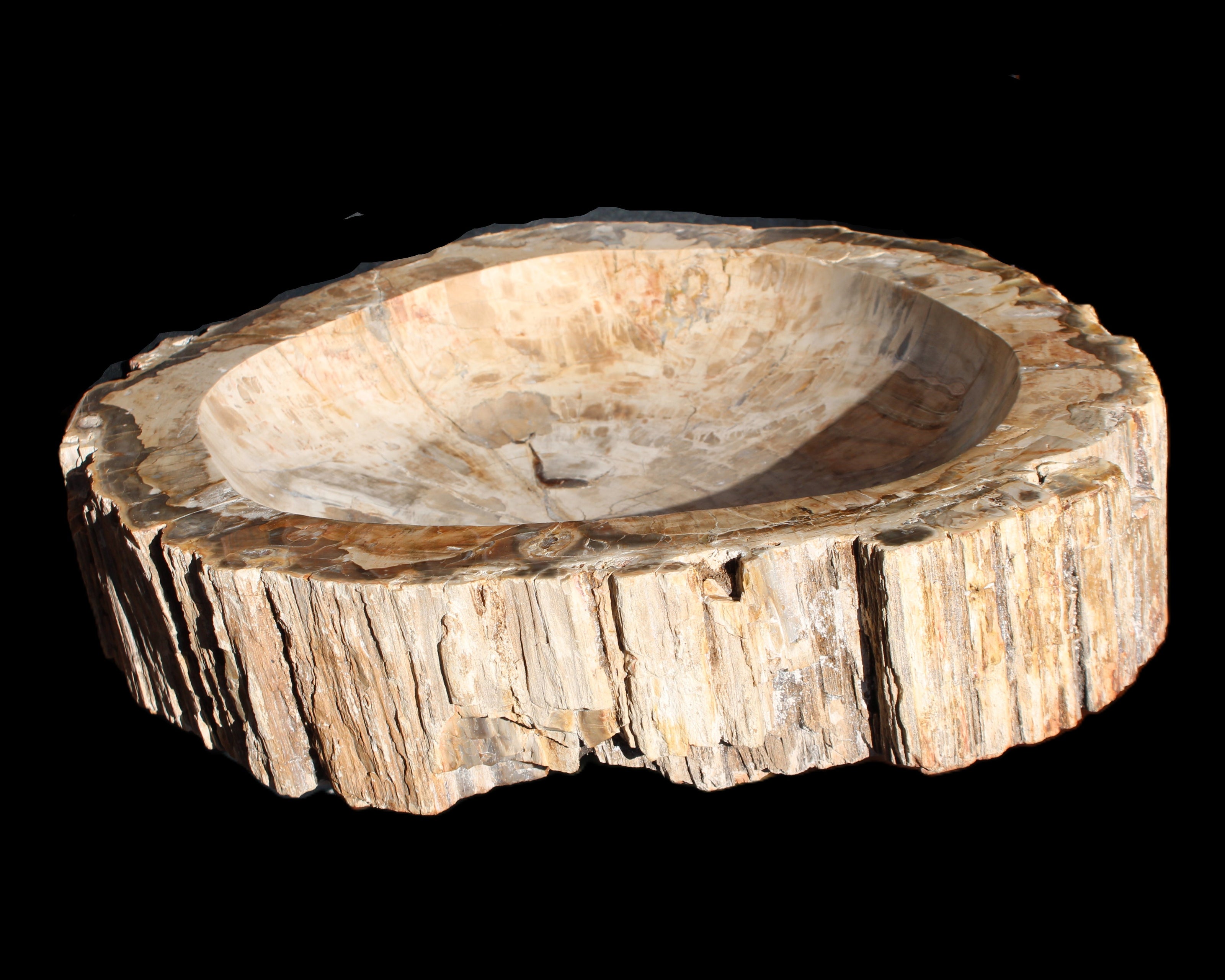 Huge Petrified Wood basin 308*231*60mm 5380g in sunlight - Rocks and Things Store