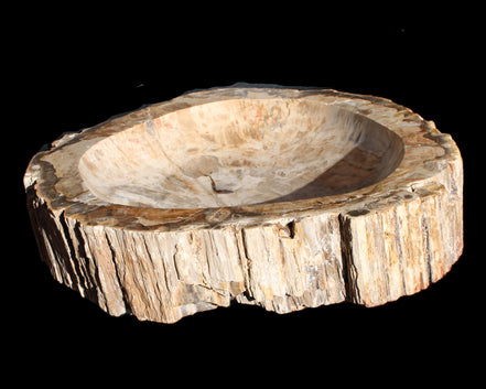 Huge Petrified Wood basin 308*231*60mm 5380g in sunlight - Rocks and Things Store