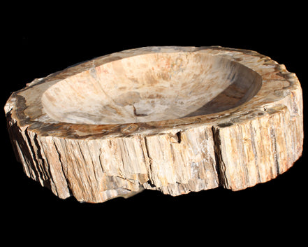 Huge Petrified Wood basin 308*231*60mm 5380g in sunlight - Rocks and Things Store