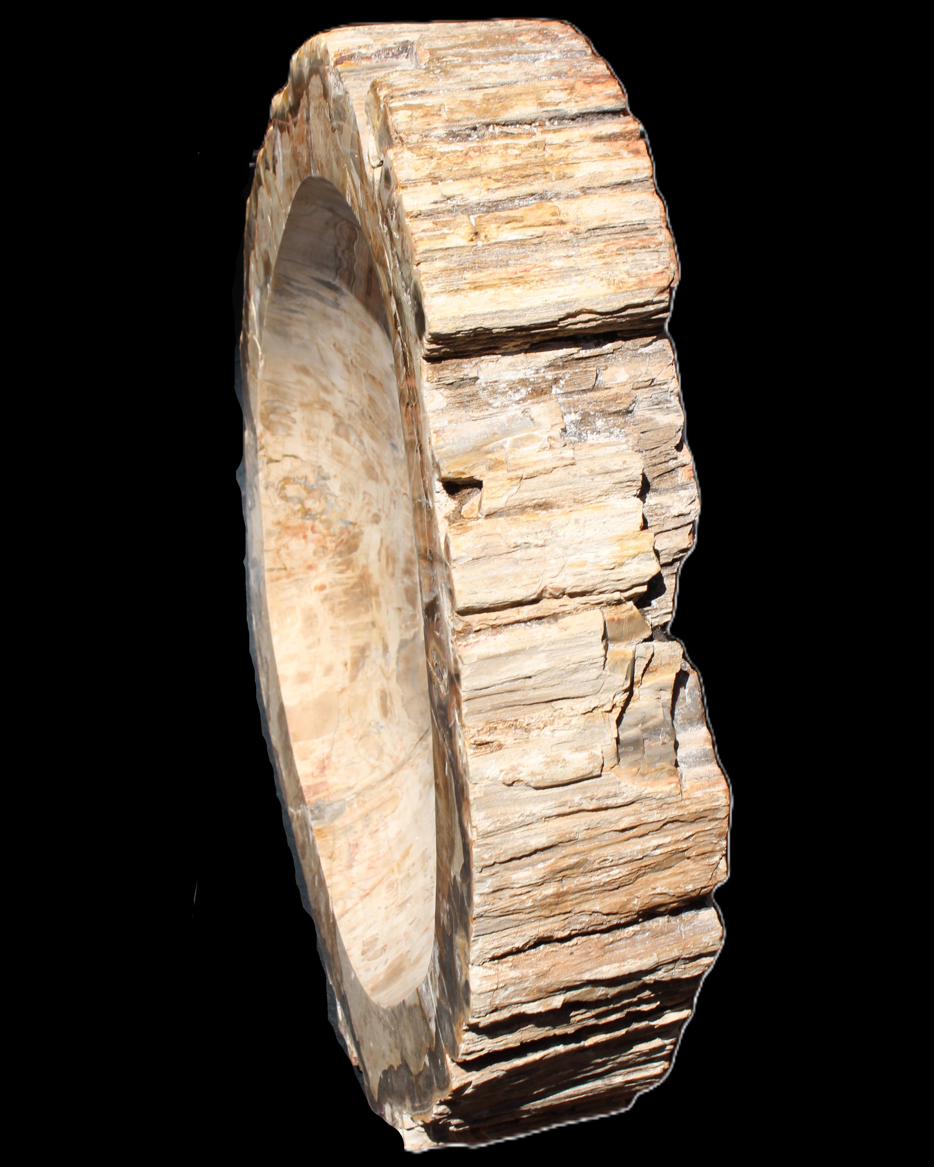 Huge Petrified Wood basin 308*231*60mm 5380g in sunlight - Rocks and Things Store