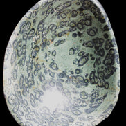 Kambaba Jasper hand-carved basin 240*197*95mm 4680g in sunlight - Rocks and Things Store