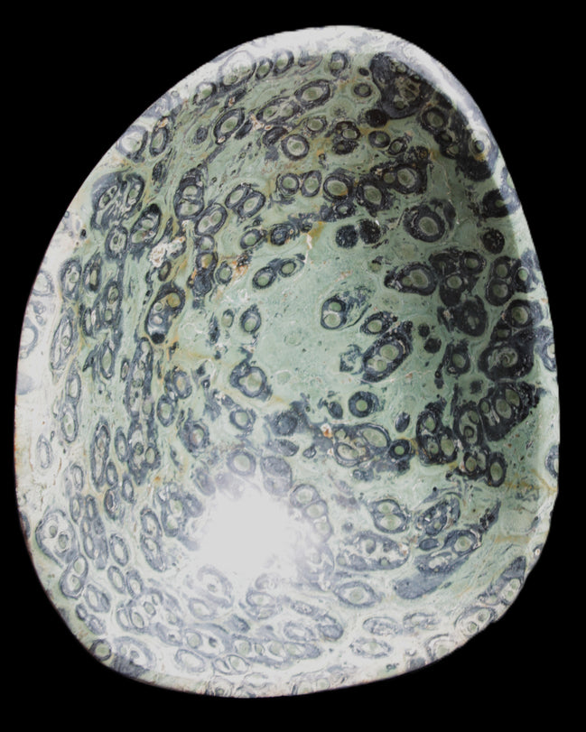 Kambaba Jasper hand-carved basin 240*197*95mm 4680g in sunlight - Rocks and Things Store