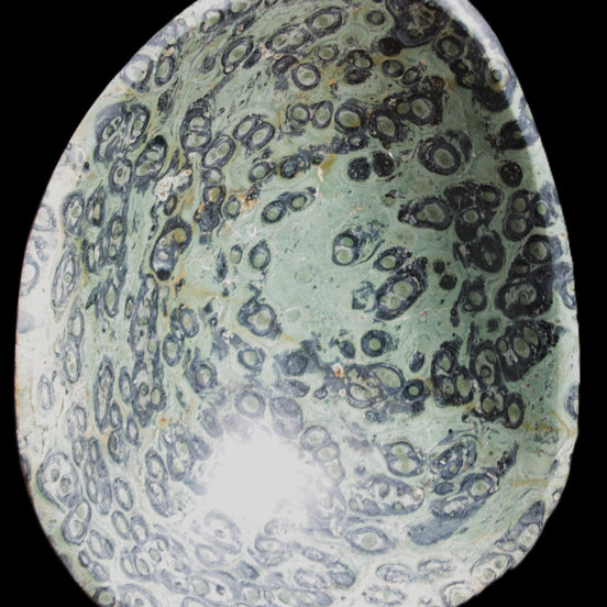 Kambaba Jasper hand-carved basin 240*197*95mm 4680g in sunlight - Rocks and Things Store