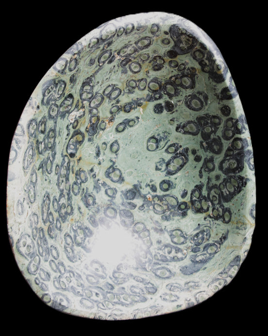 Kambaba Jasper hand-carved basin 240*197*95mm 4680g in sunlight - Rocks and Things Store