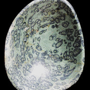 Kambaba Jasper hand-carved basin 240*197*95mm 4680g in sunlight - Rocks and Things Store