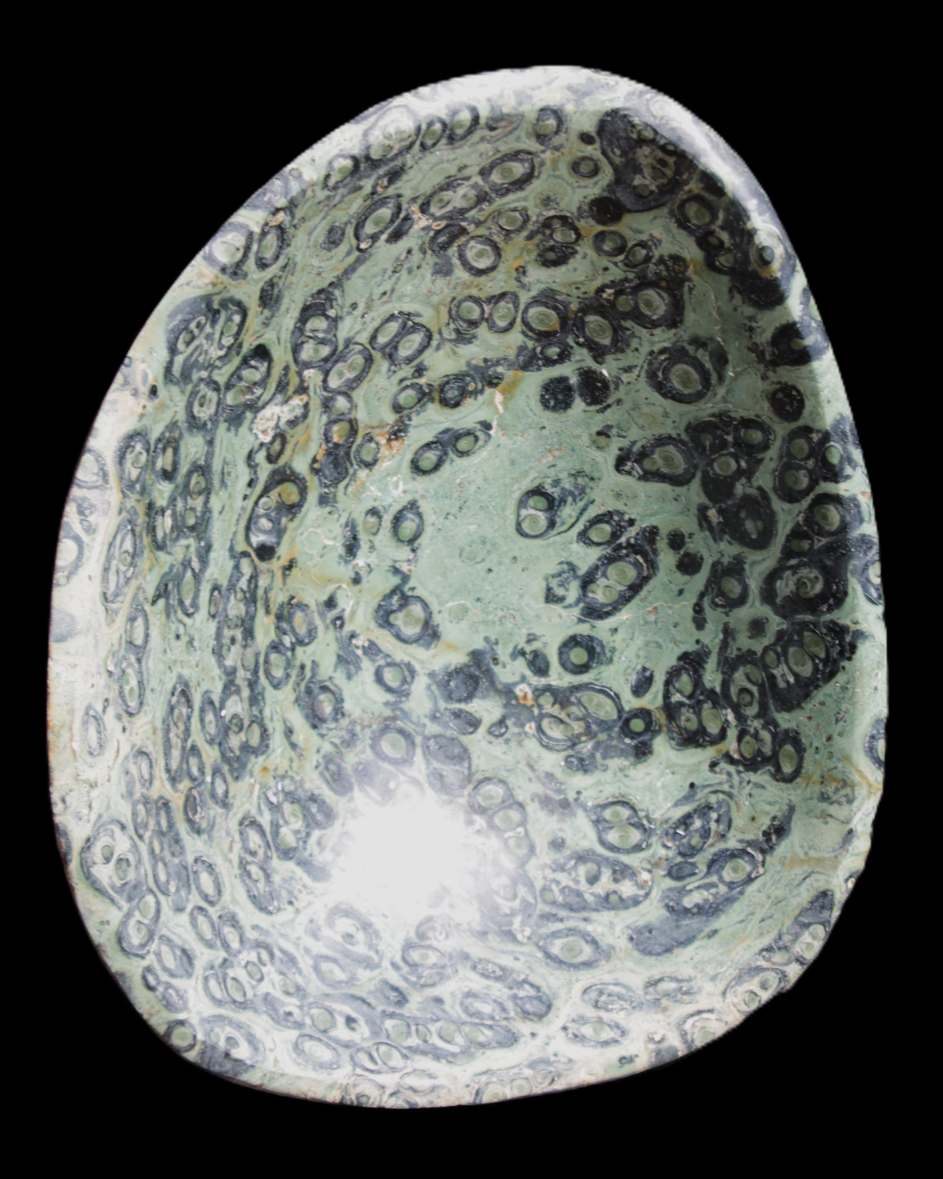 Kambaba Jasper hand-carved basin 240*197*95mm 4680g in sunlight - Rocks and Things Store