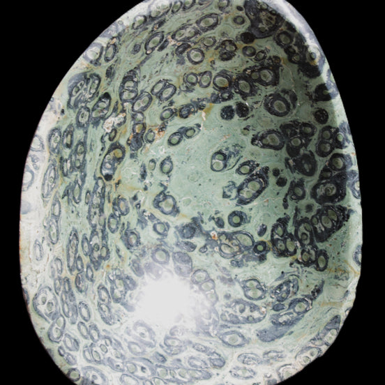 Kambaba Jasper hand-carved basin 240*197*95mm 4680g in sunlight - Rocks and Things Store