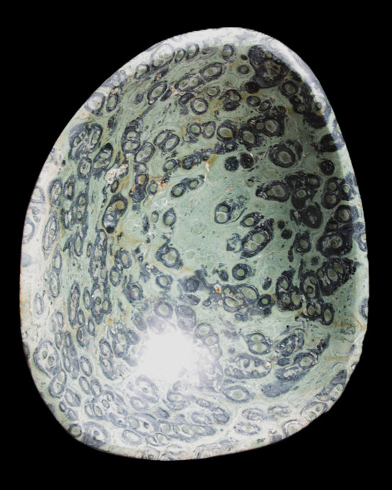 Kambaba Jasper hand-carved basin 240*197*95mm 4680g in sunlight - Rocks and Things Store