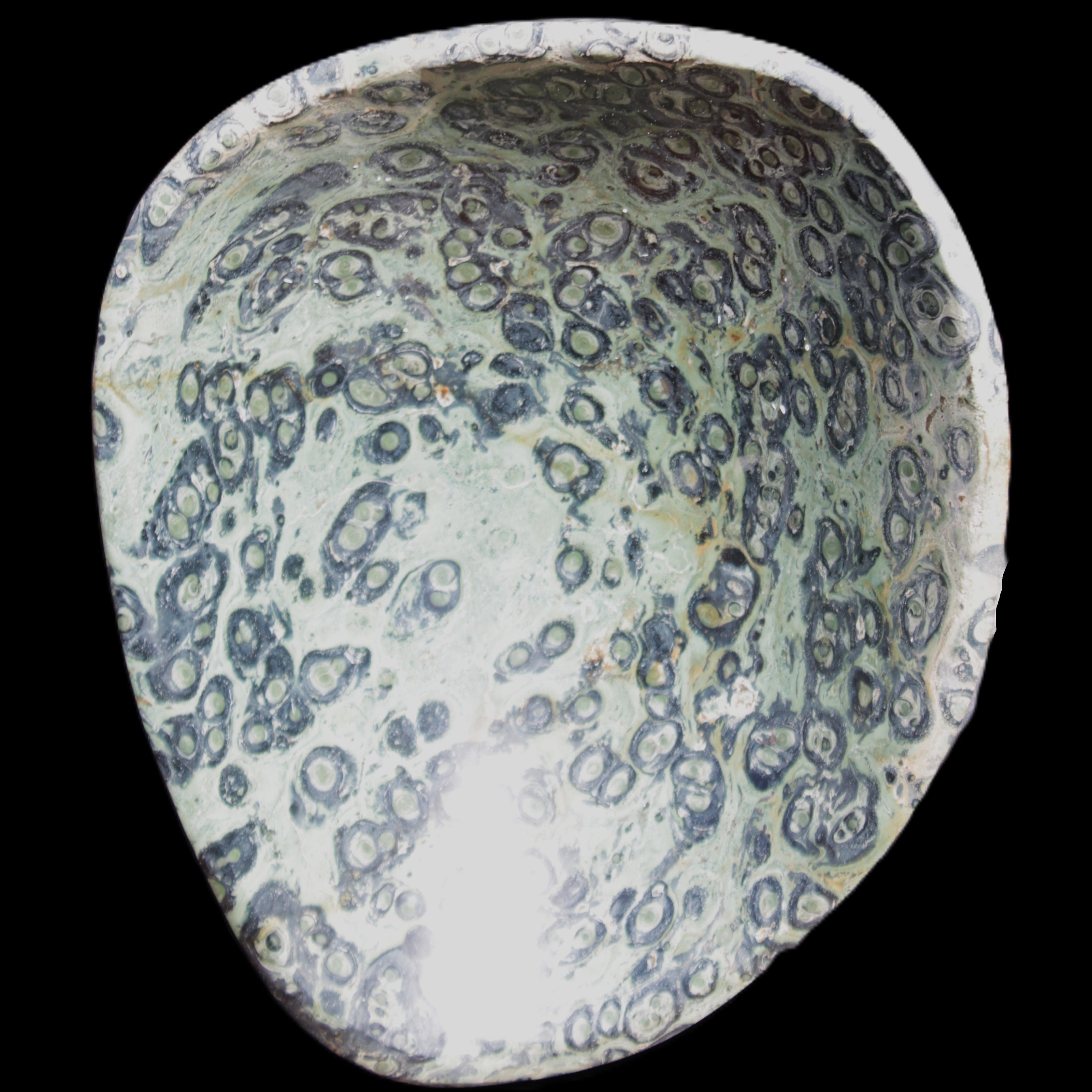 Kambaba Jasper hand-carved basin 240*197*95mm 4680g in sunlight - Rocks and Things Store