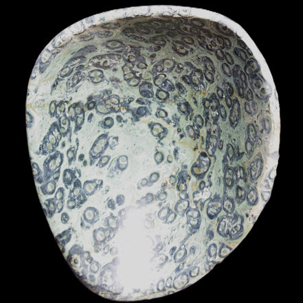 Kambaba Jasper hand-carved basin 240*197*95mm 4680g in sunlight - Rocks and Things Store