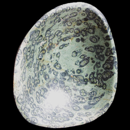 Kambaba Jasper hand-carved basin 240*197*95mm 4680g