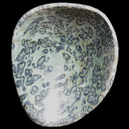 Kambaba Jasper hand-carved basin 240*197*95mm 4680g in sunlight - Rocks and Things Store