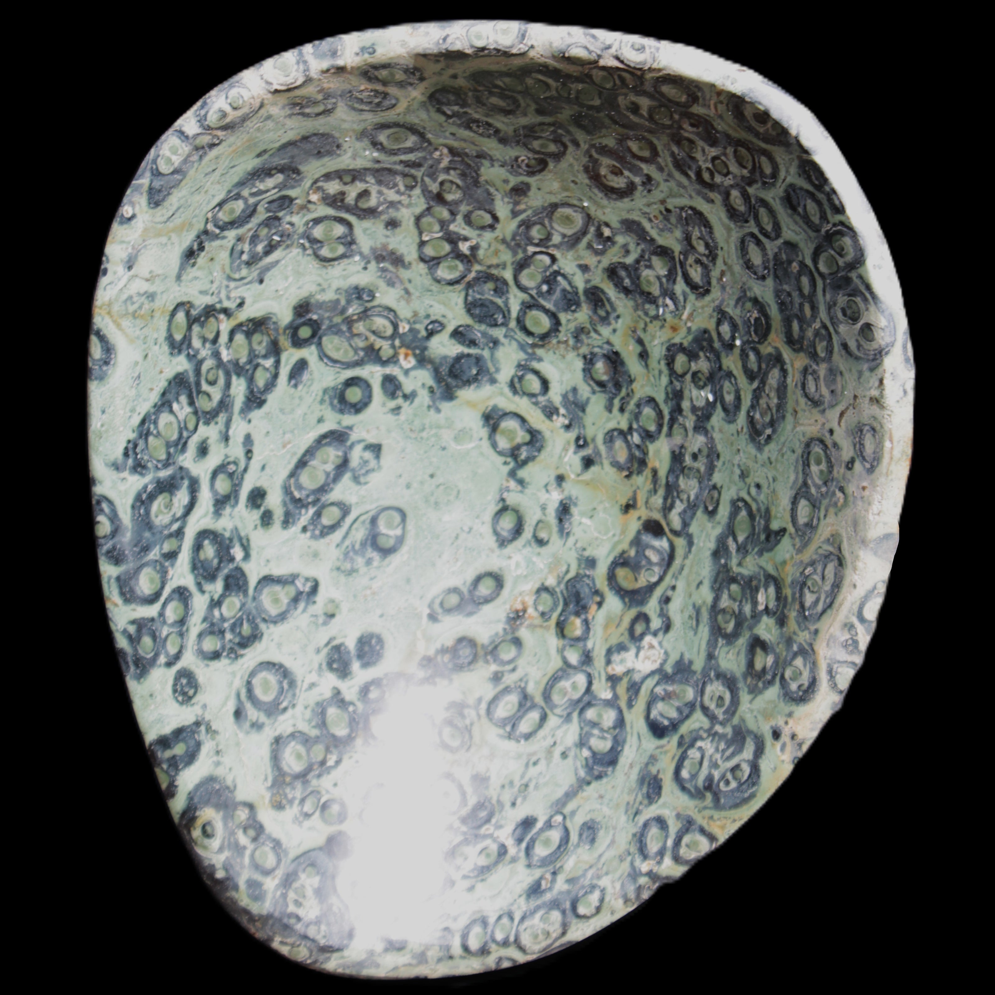 Kambaba Jasper hand-carved basin 240*197*95mm 4680g in sunlight - Rocks and Things Store