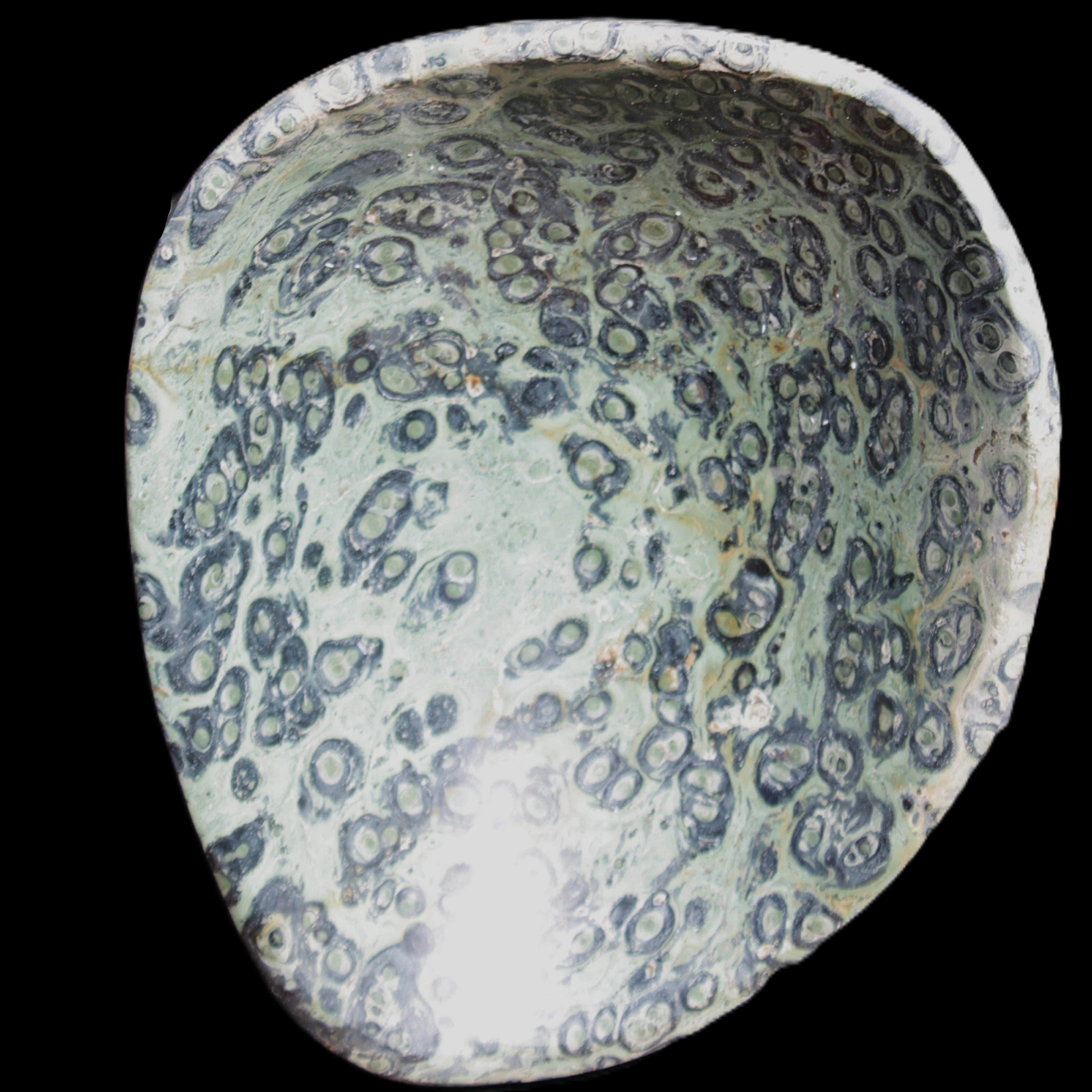 Kambaba Jasper hand-carved basin 240*197*95mm 4680g in sunlight - Rocks and Things Store