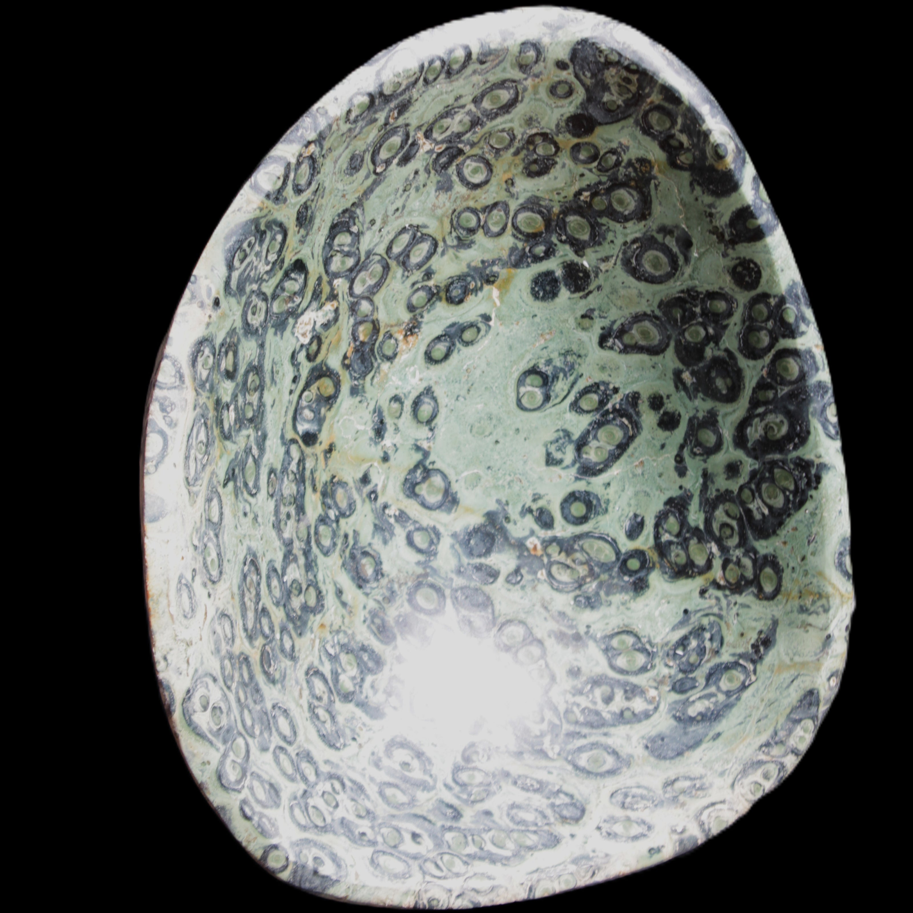 Kambaba Jasper hand-carved basin 240*197*95mm 4680g in sunlight - Rocks and Things Store