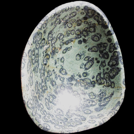 Kambaba Jasper hand-carved basin 240*197*95mm 4680g in sunlight - Rocks and Things Store