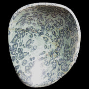 Kambaba Jasper hand-carved basin 240*197*95mm 4680g in sunlight - Rocks and Things Store