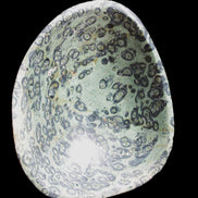 Kambaba Jasper hand-carved basin 240*197*95mm 4680g in sunlight - Rocks and Things Store