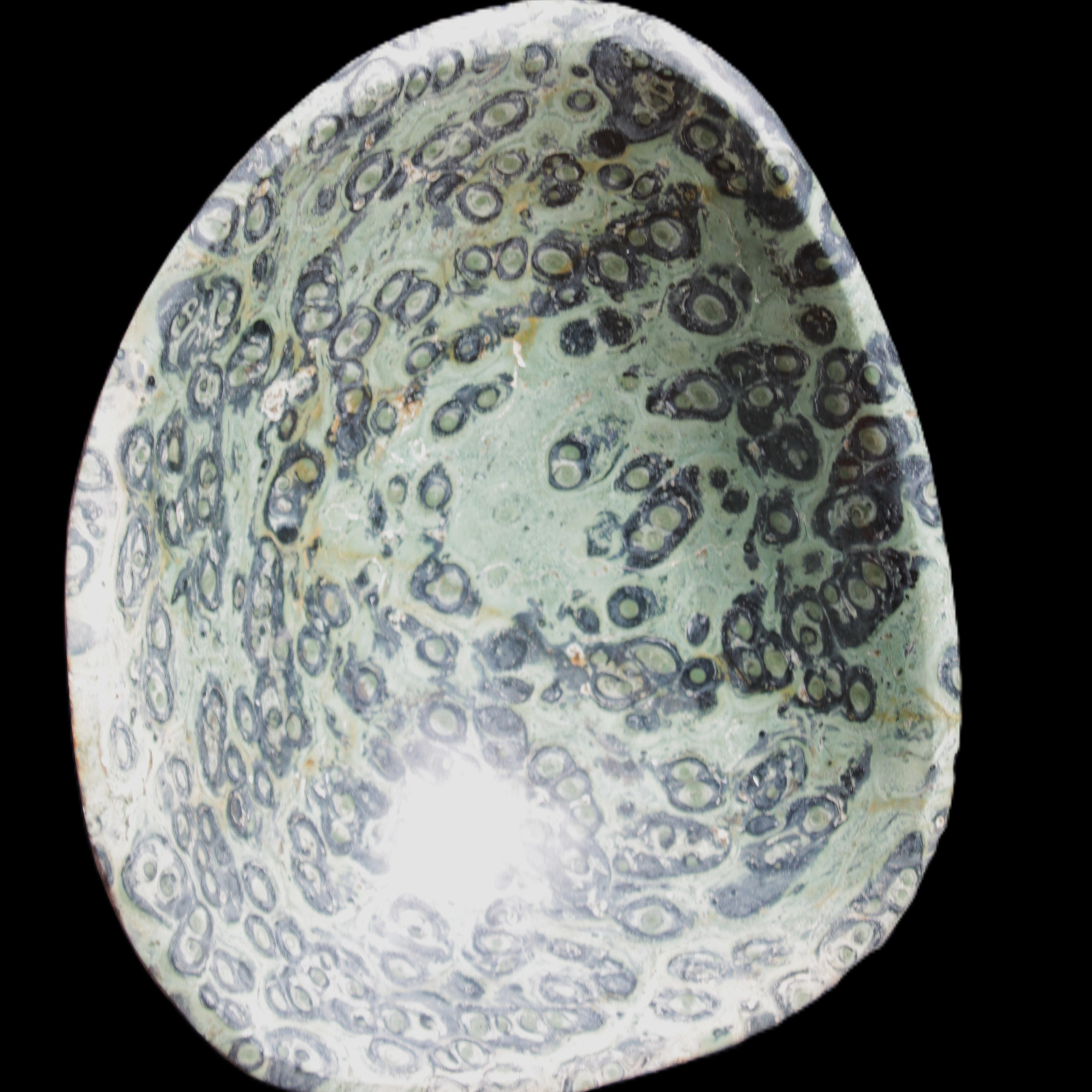 Kambaba Jasper hand-carved basin 240*197*95mm 4680g in sunlight - Rocks and Things Store